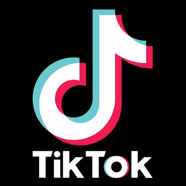 TikTok Logo